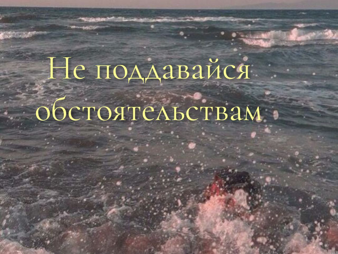 Люди кричат друг на друга. Зона контроля психологич. Поддаваясь ситуации. Как вы решаете конфликтные ситуации. Почему нельзя поддаваться панике во время чрезвычайной ситуации.