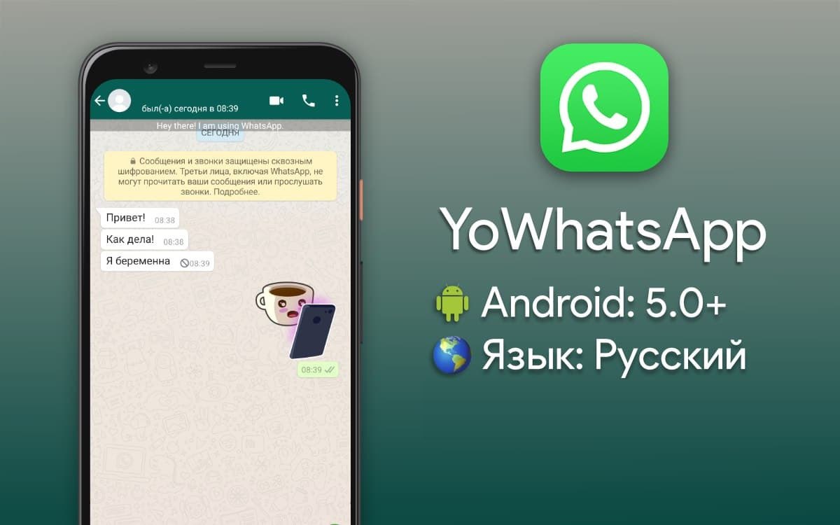 Установить официальное ватсапа. Мессенджеры. Праграмаи @ANDROHOT