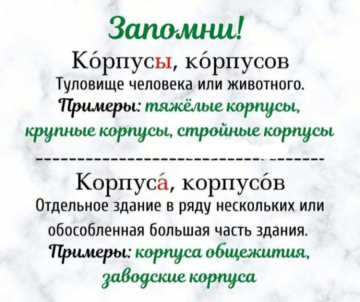 Бедный гость с оборванной полою и до крови оцарапанный скоро отыскивал безопасный угол