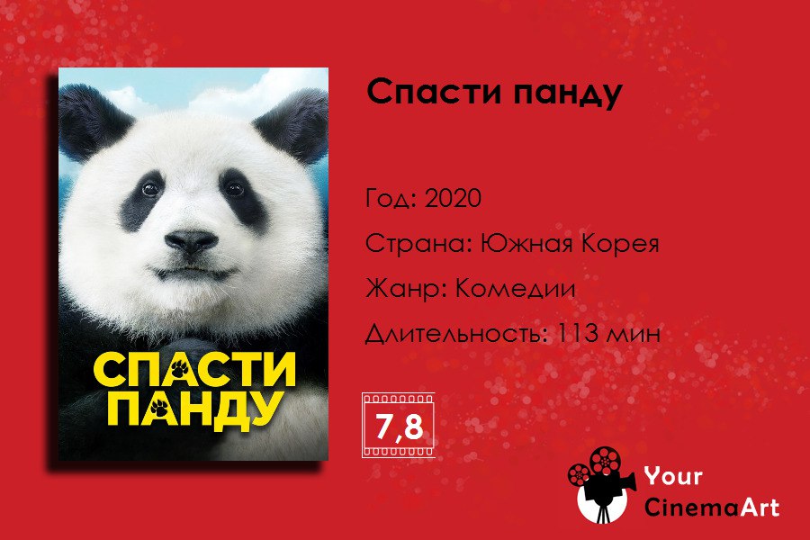 Спасти панду 2020