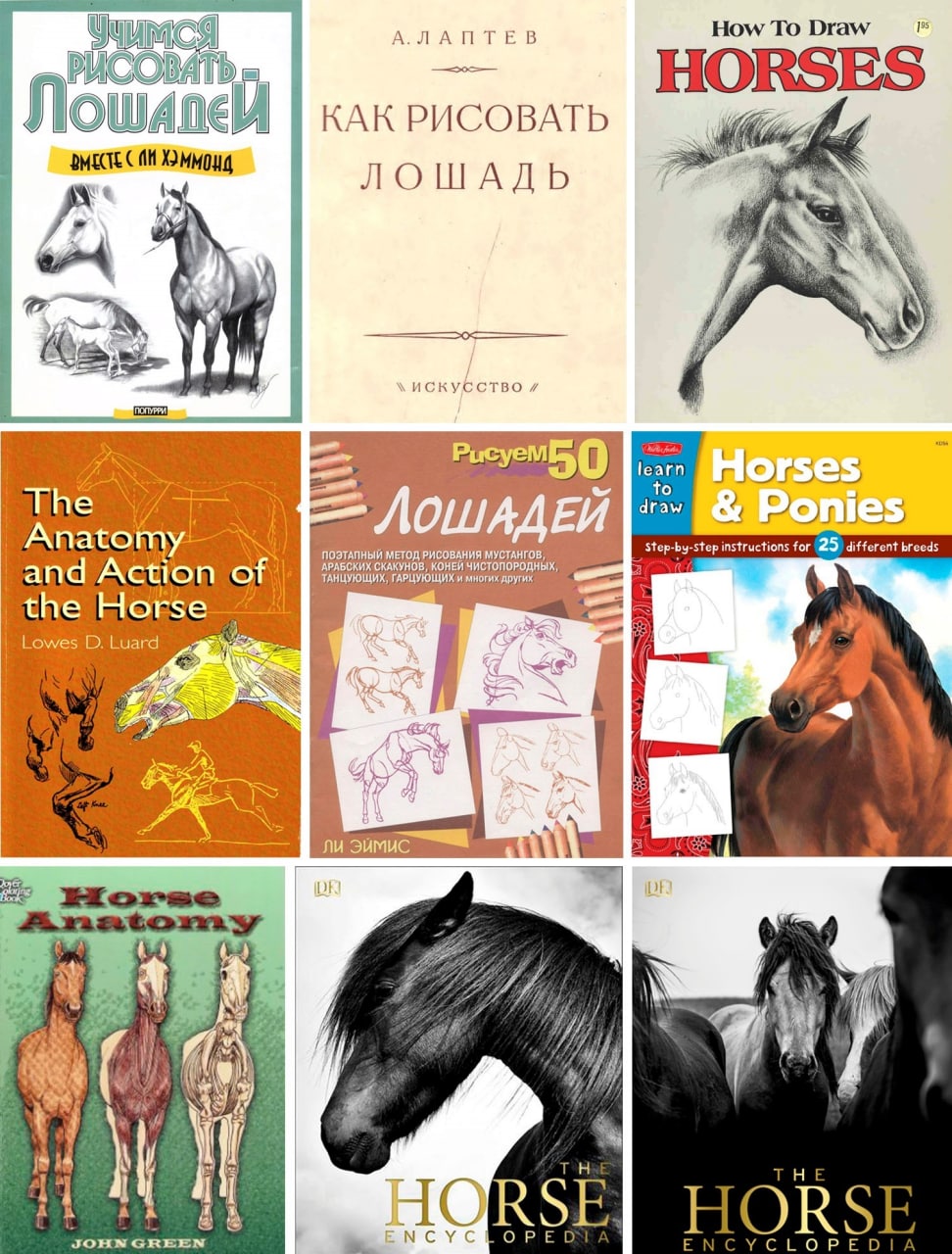 Книги про конни. Танцующая с лошадьми книга. Лошадь Графика из книг. Книги о домашних животных лошадях. Лошадь с крыльями и книга.